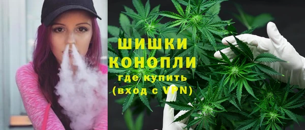 apvp Алзамай