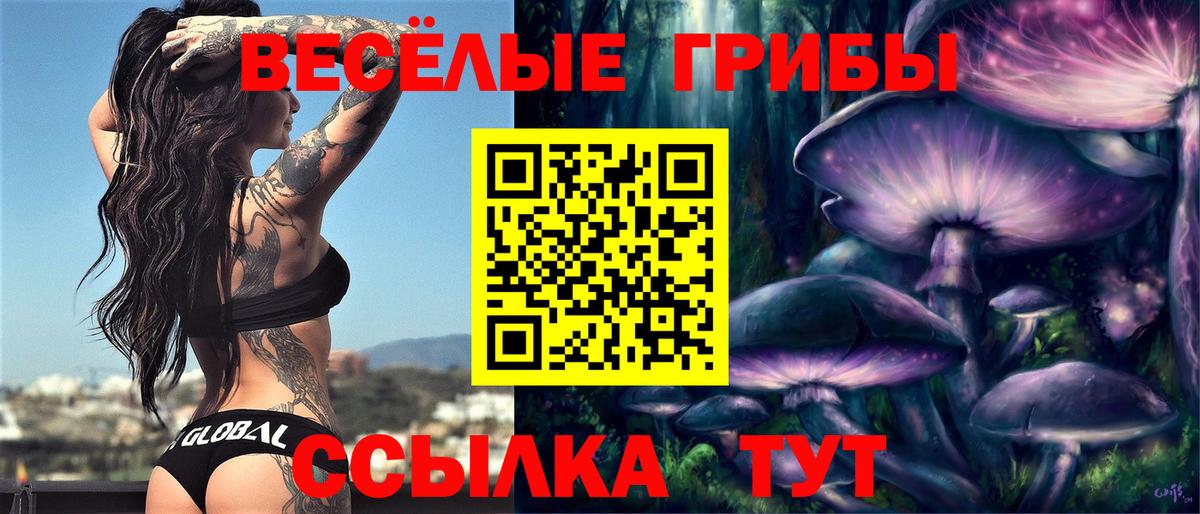Псилоцибиновые грибы GOLDEN TEACHER  Вход с VPN  Чебаркуль 