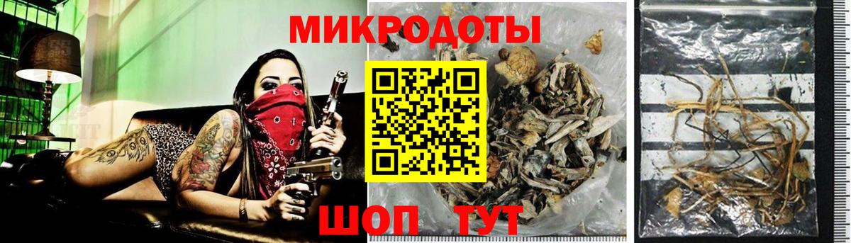 Галлюциногенные грибы прущие грибы Чебаркуль